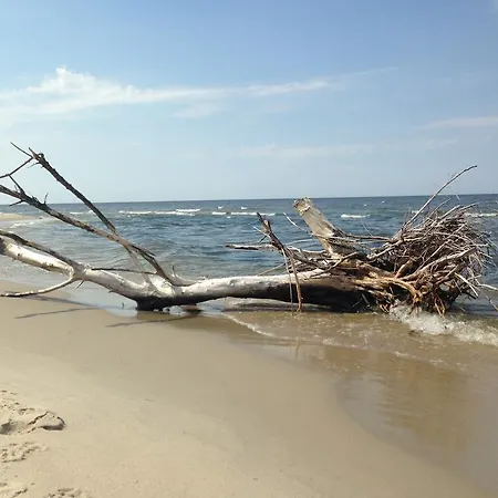 ホリデーパーク Rondo *